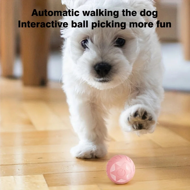 Interactive Smart Cat Dog Toys Automatic Rolling Electric Plastic Ball for Dog Training Endless Fun Product