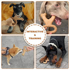 Durable Double Bone Dog Chew Toy Beef Flavor Christmas Deer Triceratops Interactive Nylon Chew Toy for Pups