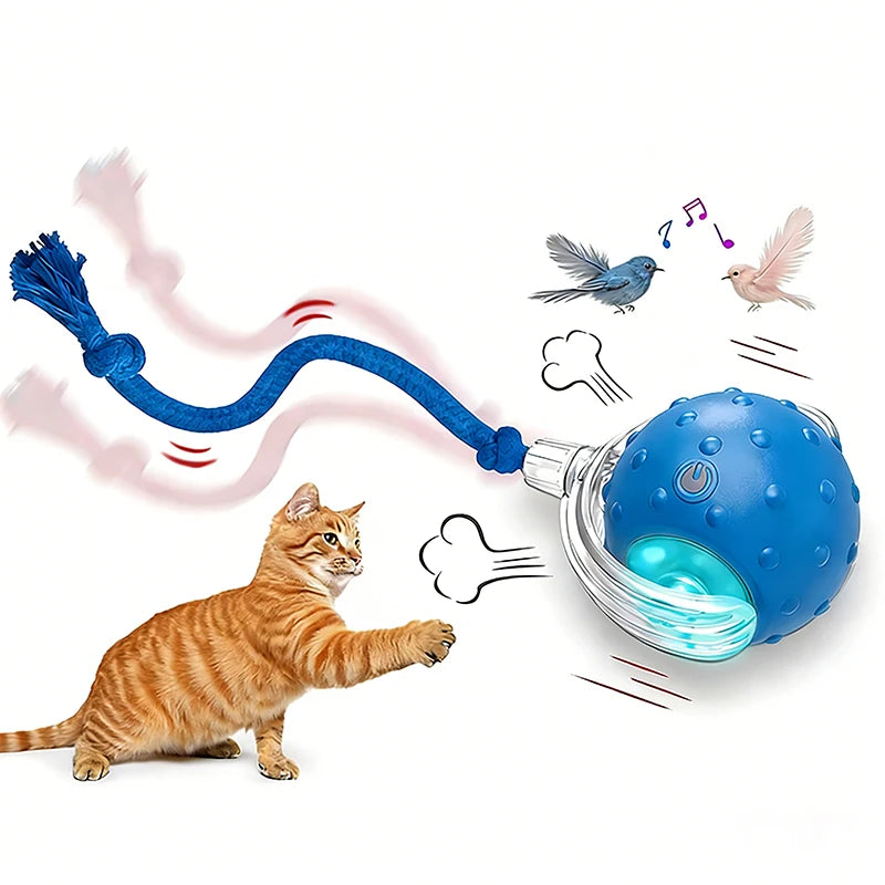 Interactive Cat Toys Ball for Indoor Cats Fast Rolling with Bird Carpet Chirping & Exercise Rechargeable Smart Cat Ball Toys