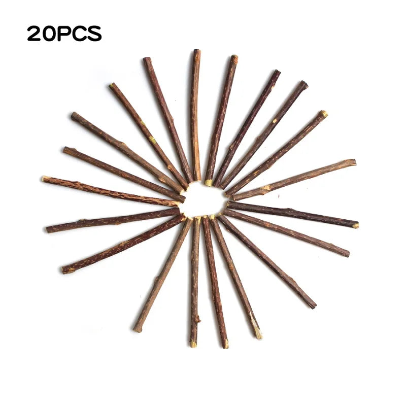 Fashionable Wood Molar Toothpaste Stick Natural Catnip Fruit Silvervine Cat Snacks for Pet Cat Teeth Cleaning Products
