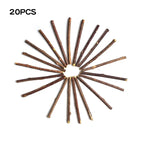 Fashionable Wood Molar Toothpaste Stick Natural Catnip Fruit Silvervine Cat Snacks for Pet Cat Teeth Cleaning Products
