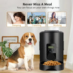2L APP Control Automatic Dog Feeder Button Version Auto Cat Food Dispenser Smart Control Pet Feeder for Cats Dog Dry Food Bowl