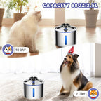Auto Power-off Stainless Steel Automatic Cat Water Fountain 84oz/2.5L with LED Light Non-slip Mat Pet Water Dispenser