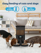OEM 6L Automatic Cat Feeder for Two Cats with Stainless Steel Bowls LCD Display USB Charging Memory Function Smart Pet Feeder