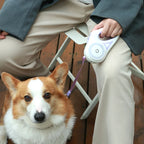 Automatic Retractable Nylon Pet Lead LED Light Dog Walking Leash Solid Pattern Plastic Traction Rope Designer Dog Walking Gear
