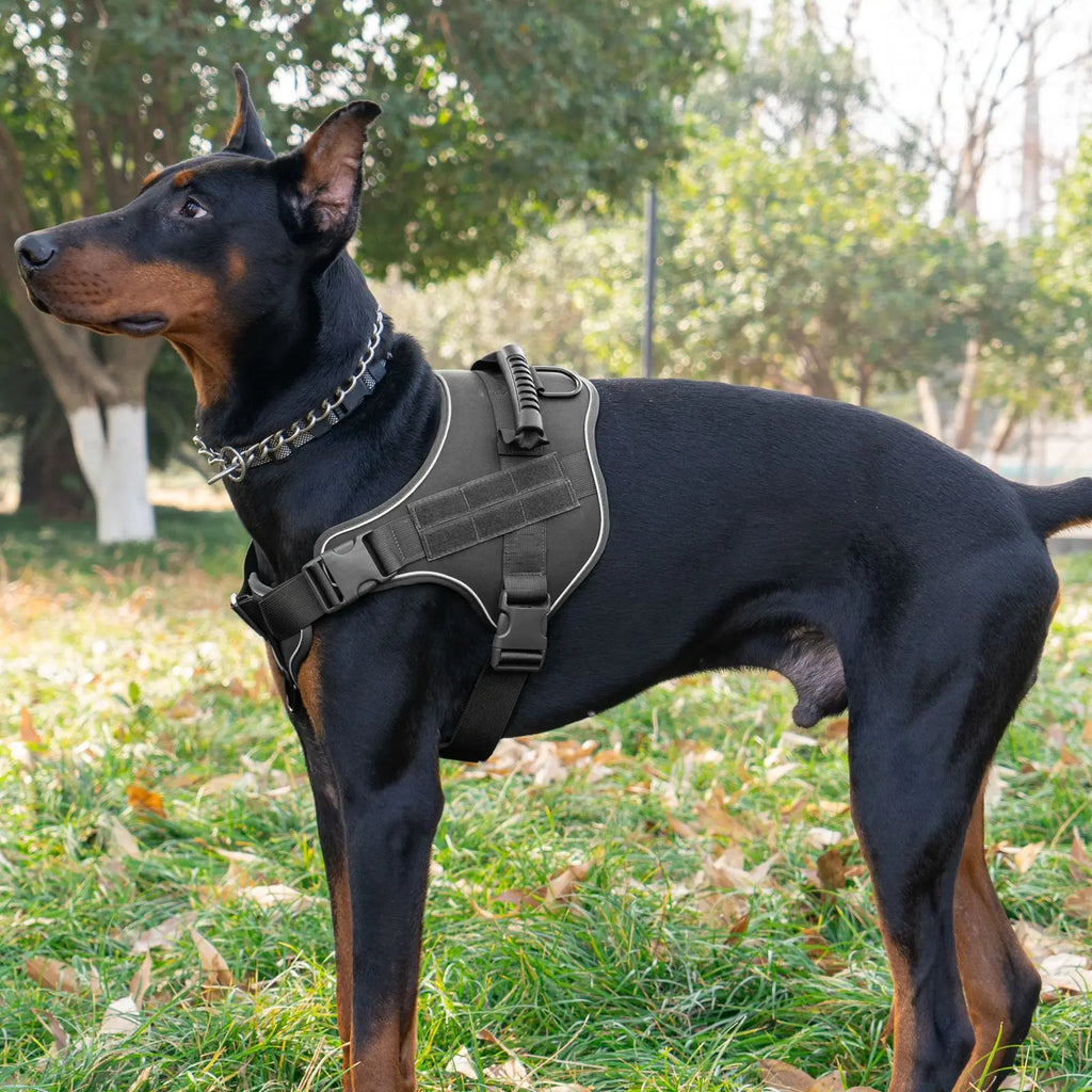 1000D Nylon Dog Vest Harness Set Modern Tactical Outdoor Training Vest Quick Release for Summer Winter Hunting Featuring Print