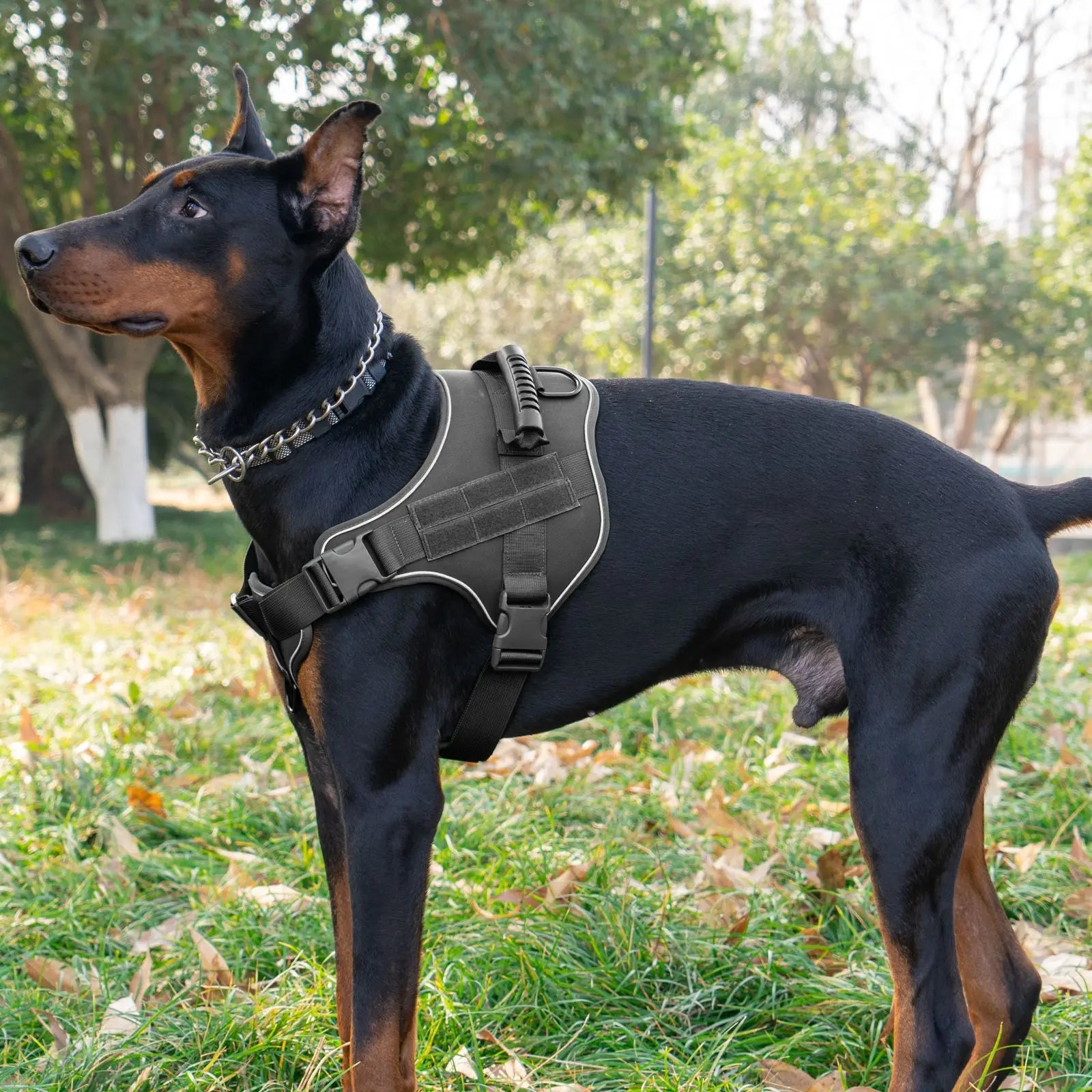 1000D Nylon Dog Vest Harness Set Modern Tactical Outdoor Training Vest Quick Release for Summer Winter Hunting Featuring Print
