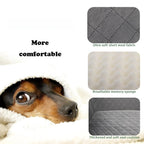 Custom Detachable Dog Car Seat Memory Foam Dog Booster Seat Travel with Storage OEM ODM Bag Dog Beds for Medium Large Dogs