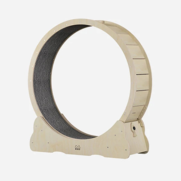 Cat Exercise Wheel Indoor Toy Cat Interactive Toys Large Cat Running Wheel with Carpeted Runway Pet Supplies