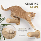 Natural Wooden 2-Tier Wall Mounted Cat Hammock Small to Medium Cats' Scratching Post with Sisal Rope Cat Trees & Scratcher