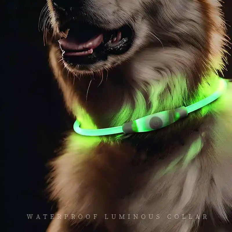 Waterproof Electronic Pet Multicolor LED Dog Collar Adjustable Flash Pet Collars Type C Recharge Pet Collars for Dogs Anti-Lost