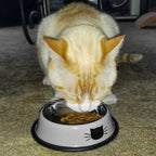 Stainless Steel Cat Bowls Pet Steel Bowl Set Food Water Bowl for Dogs and Cats Anti-skid Feeder Supplies for Small Dogs Cats