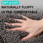 Microfiber Dog Door Mat for Indoor Outdoor Quick Dry Chenille Entryway Carpet Non-Slip Absorbent for Summer Winter Soft Pet Rug