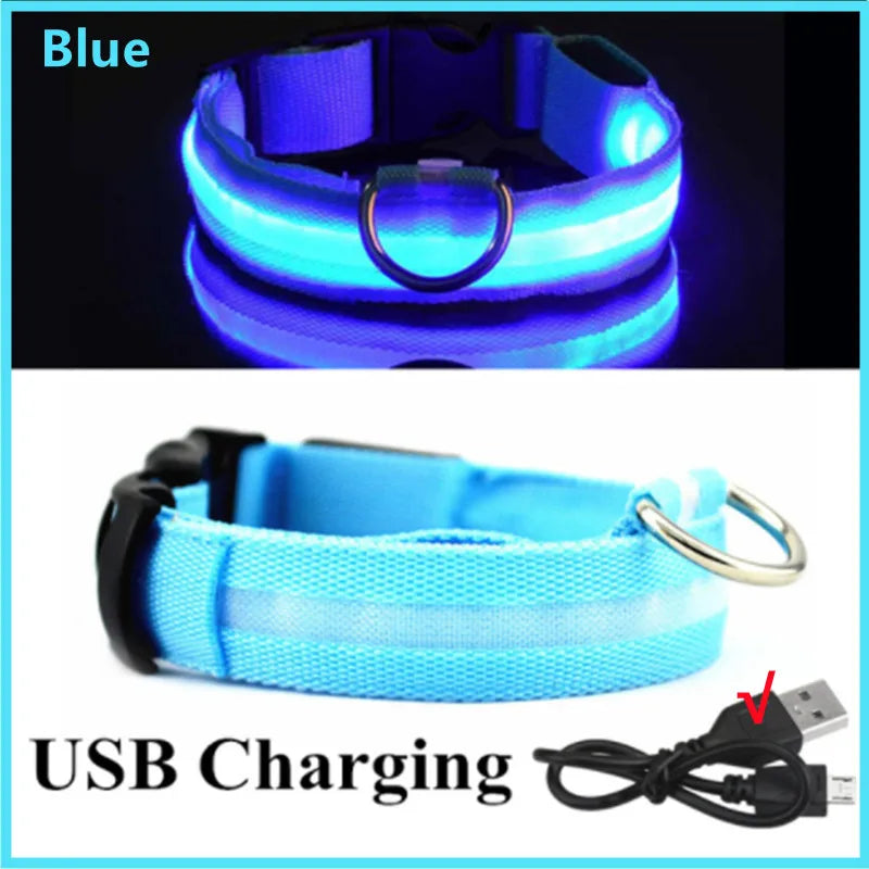 LED Glowing Dog Collar Adjustable Flash Recharge Luminous Collar Night Anti-Lost Dog Light for Small Dog Electronic Pet Products