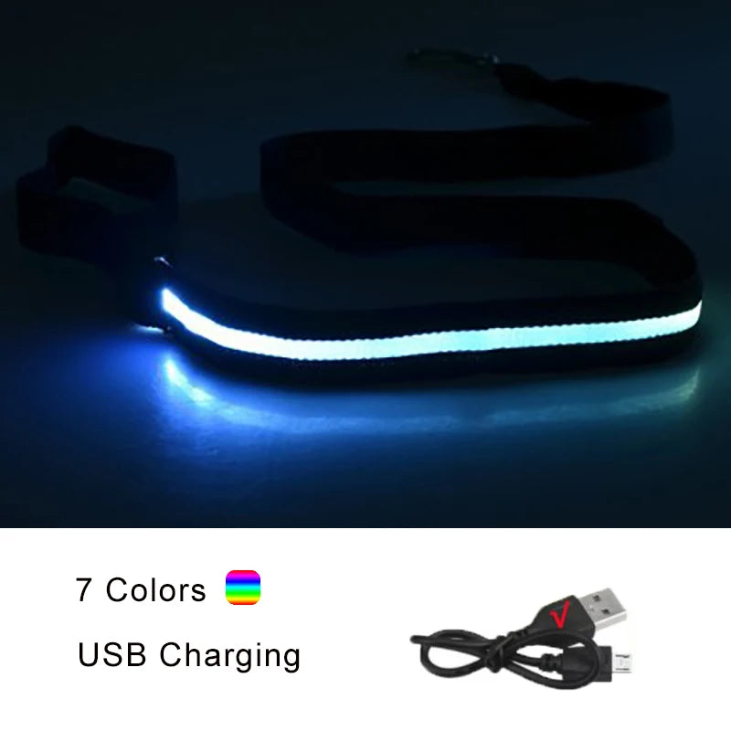 LED Dog Leash Light up Dog Leash USB Rechargeable Solid Nylon Webbing Glow Safety Standard Pet Leash for Dog Products
