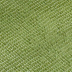 Microfiber Dog Door Mat for Indoor Outdoor Quick Dry Chenille Entryway Carpet Non-Slip Absorbent for Summer Winter Soft Pet Rug