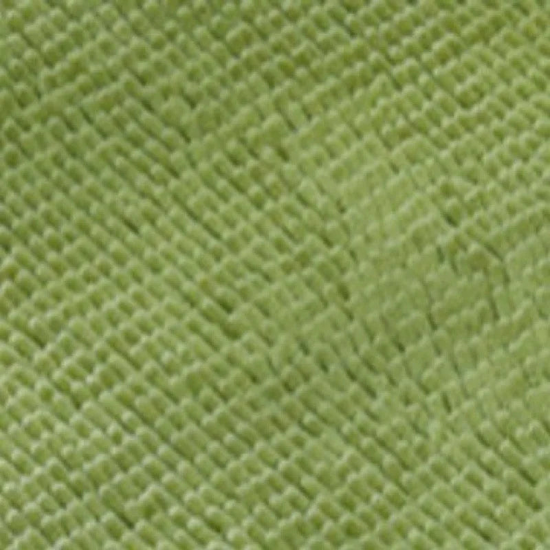 Microfiber Dog Door Mat for Indoor Outdoor Quick Dry Chenille Entryway Carpet Non-Slip Absorbent for Summer Winter Soft Pet Rug