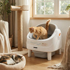Custom Open-Top Automatic Cat Litter Box Self-cleaning Litter Box for Cats APP Control Odor-Free Waste Disposal with Trash Bags