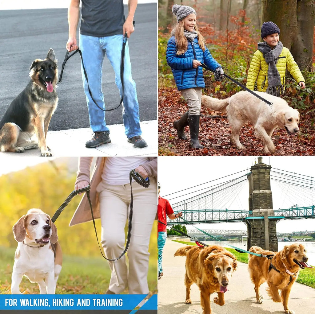 Reflective Dog Leash 2 Handles by Padded Traffic Handle for Extra Control Perfect for Medium to Large Dog Products