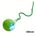 Electric Cat Toy Ball with Tail Rope 300mah USB Rechargeable Self-Moving Rolling Robot Mouse for Indoor Exercise for Kitten