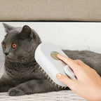 Rechargeable Cat Steamy Brush with Leave-In Serum Self Cleaning Steam Cat Brush Pet Comb for Cats and Dog Cleaning Brush