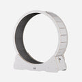 Cat Exercise Wheel Indoor Toy Cat Interactive Toys Large Cat Running Wheel with Carpeted Runway Pet Supplies