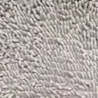 Microfiber Dog Door Mat for Indoor Outdoor Quick Dry Chenille Entryway Carpet Non-Slip Absorbent for Summer Winter Soft Pet Rug
