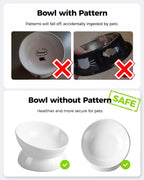 Elevated Cat Food Bowl 5 Oz Ceramic Raised and Tilted Water Bowl Anti Vomiting and Protect Pets' Spines Dishes for Small Dog Cat