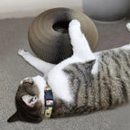 Eco-Friendly Magic Organ Cat Scratching Board with Bell and Grinding Claw Paper Material Climbing Frame for Cats