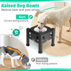 Stainless Steel Elevated Dog Bowls Adjustable Raised Pet Water Bowl Non-Slip Puppy Cat Slow Water Feeder 2.2L/75oz No Wet Mouth
