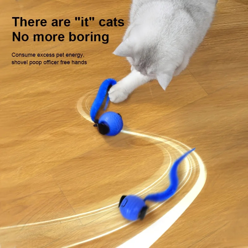 Interactive Rolling Cat Ball Toy Automatic Rolling Motion Rechargeable Indoor/Outdoor Play for All Cat Pet Exercise Toys