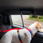 Adjustable Pet Car Seat Belt Nylon Lead Dog Leash Custom Backseat Safety Belt OEM Designer Dog Harness Collar Pet Accessories
