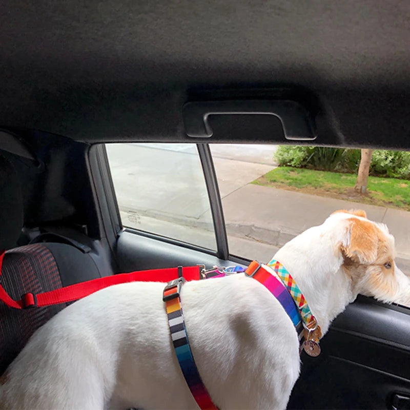 Adjustable Pet Car Seat Belt Nylon Lead Dog Leash Custom Backseat Safety Belt OEM Designer Dog Harness Collar Pet Accessories