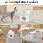 5pcs Replacement Filters for Wireless 3L Pet Water Dispenser Automatic Cat Water Fountain Products