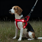 LED Reflective Dog Harness with Lights Nylon Button Battery Pet Safety Vest Adjustable Glowing Dog Harness