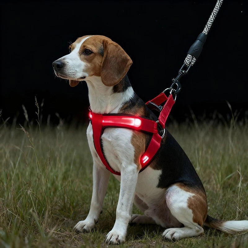 LED Reflective Dog Harness with Lights Nylon Button Battery Pet Safety Vest Adjustable Glowing Dog Harness