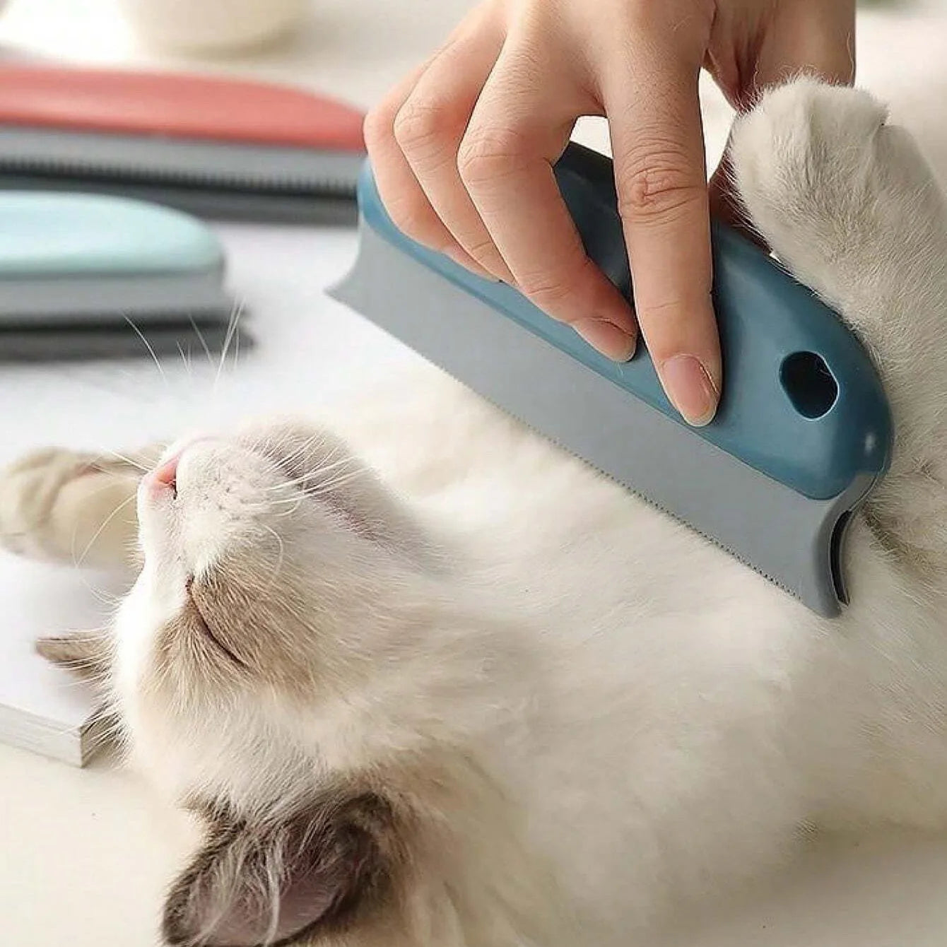 Effective Portable Plastic Pet Hair Remover Brush for Cats and Dogs Gently Shaves Wool and Cleans Fur for a Neat Home