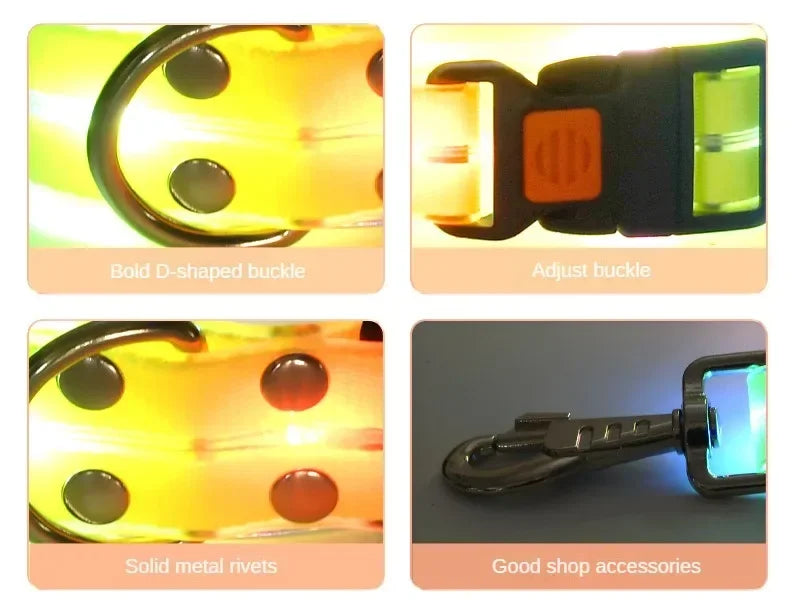 Rechargeable LED Dog Collar Leash Waterproof Glow-in-the-Dark Nylon Reflective Lights Light up Luminous Dog Walking Gear