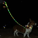 Rechargeable LED Dog Collar Leash Waterproof Glow-in-the-Dark Nylon Reflective Lights Light up Luminous Dog Walking Gear