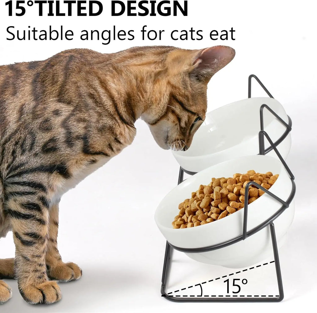 Auto-Elevated 15 Degree Tilted Double Cat Bowls Indoor Raised Ceramic Pet Feeding Bowls for Water & Food