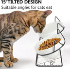 Auto-Elevated 15 Degree Tilted Double Cat Bowls Indoor Raised Ceramic Pet Feeding Bowls for Water & Food