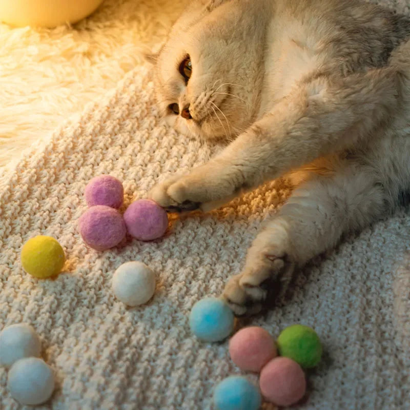 Interactive Launch Training Cat Toys Creative Dog Training Toys Kitten Mini Pompoms Games Stretch Plush Ball Toy Cat Products