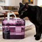 Custom 1.5L Automatic Pet Water Fountain for Cats & Dogs USB Quiet Cat Water Fountain Cat Drinking Fountain with Light