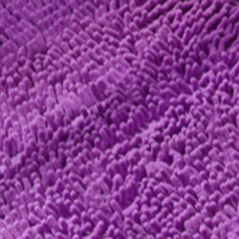 Microfiber Dog Door Mat for Indoor Outdoor Quick Dry Chenille Entryway Carpet Non-Slip Absorbent for Summer Winter Soft Pet Rug