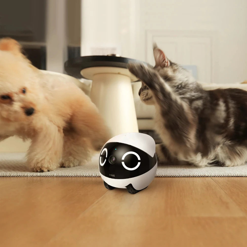 Indoor Cat Toy with Pulley and HD Camera Two-way Voice Call & Privacy Management Smart Robot Interactive Cat Toys