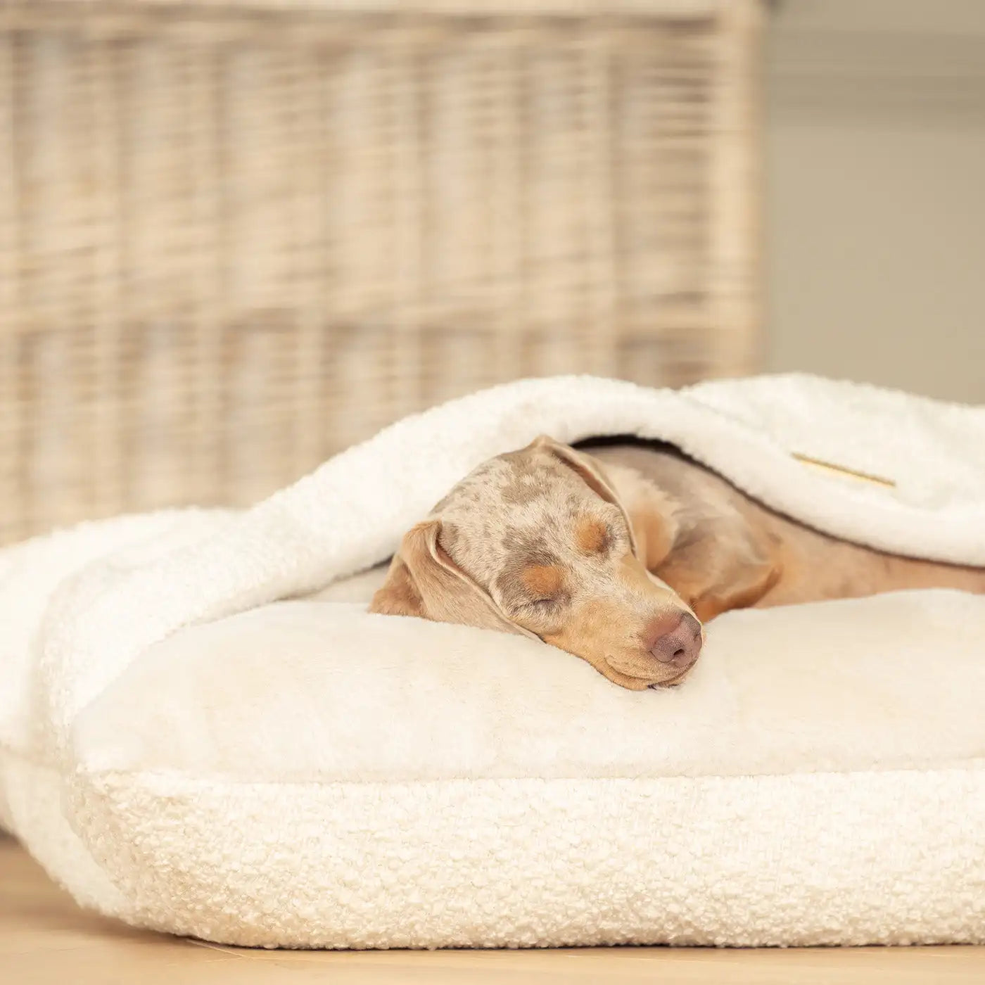 Cozy Cat Nest Pet Bed Winter Warm Semi-Closed Cotton Linen Modern Removable Washable Koala Pocket Bed for Cat Sleeping Summer