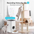 OEM 4L/6L Automatic Pet Feeder With Camera TUYA APP Smart Cat Feeder Dog Dry Food Dispenser WIFI Smart Pet Feeder Manufacturer