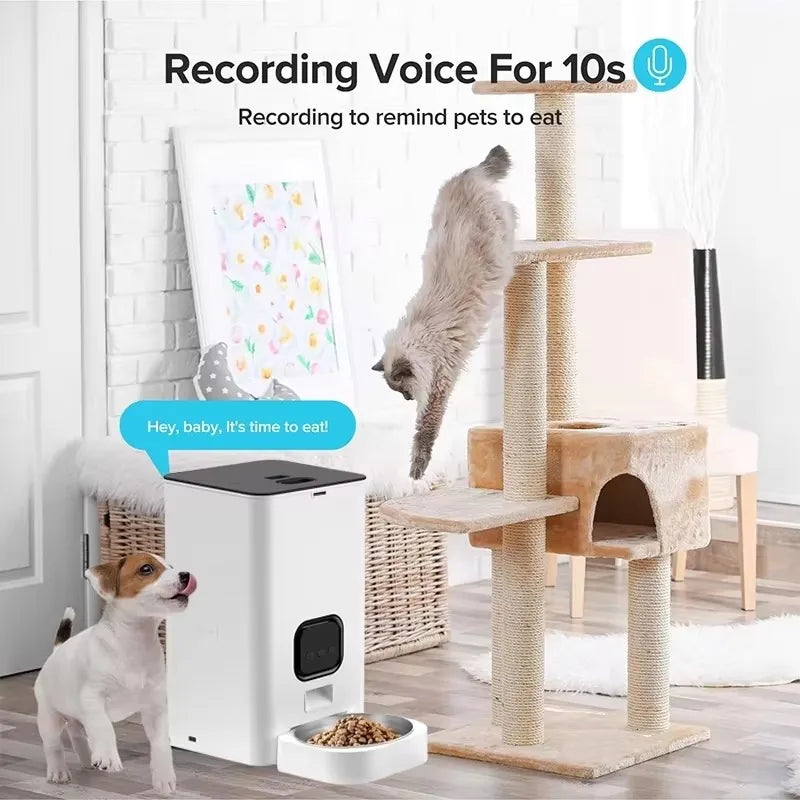 OEM 4L/6L Automatic Pet Feeder With Camera TUYA APP Smart Cat Feeder Dog Dry Food Dispenser WIFI Smart Pet Feeder Manufacturer