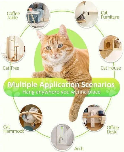 2026 New Interactive Cat Toys Indoor Remote Control Automatic Electric Cat Toy Best Kitten Adult Cat Hanging Exercise Toys Cat