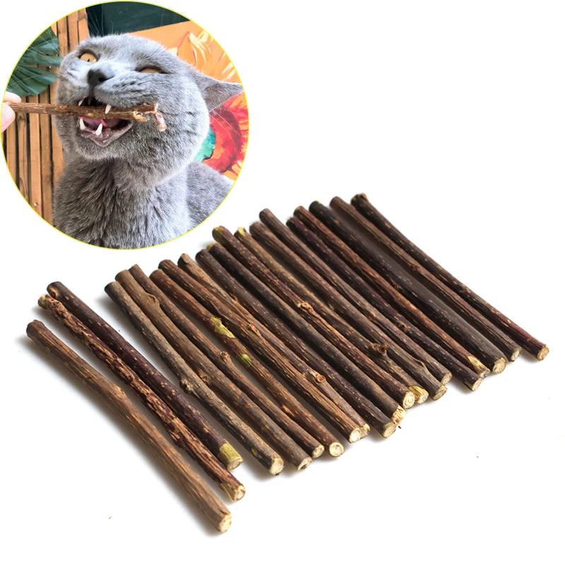 Fashionable Wood Molar Toothpaste Stick Natural Catnip Fruit Silvervine Cat Snacks for Pet Cat Teeth Cleaning Products